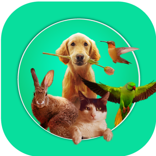 Urban pet club logo