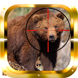 Bear Hunter HD icon