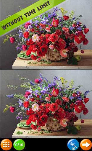 Find the Difference adults kid