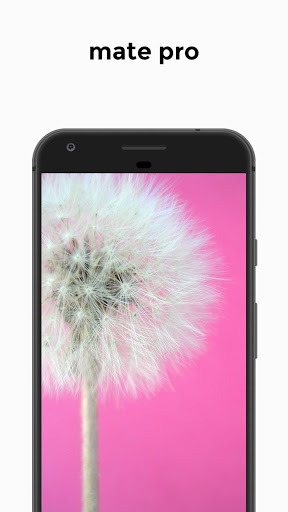 HD Wallpaper Mate Screen 2