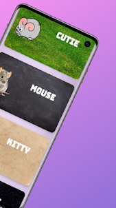 Catch Mouse: Pet Game For Cat