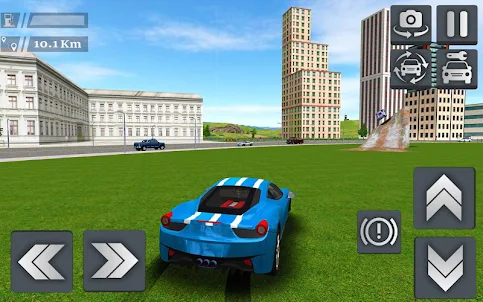 Ultimate Car Simulator