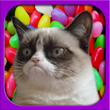 2048 Grumpy Cat version icon