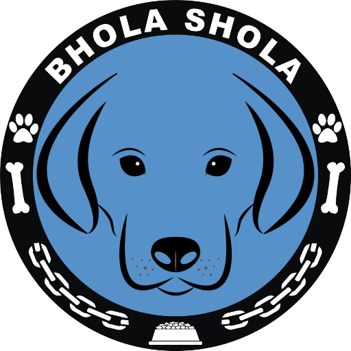 Bhola Shola 8.11R Icon