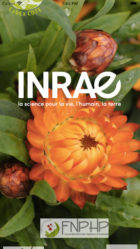 Android application VigiHorti screenshort