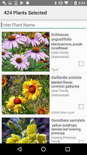 North Dakota Wildflowers Screen 3