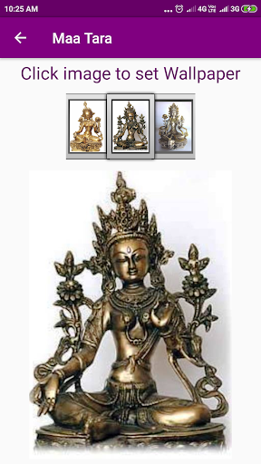 Maa Tara Screen 3