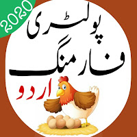 Poultry Farming in Urdu 2020  Chicken Farming