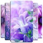 Cover Image of डाउनलोड बैंगनी फूल वॉलपेपर  APK