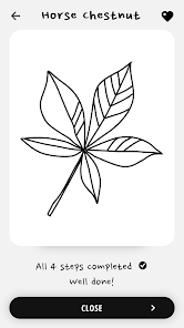 Imágen 7 How to draw flowers and plants android