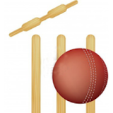 Ruby Cricket icon