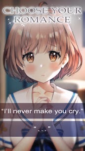 My Crazy High School Romcom Mod Apk 2