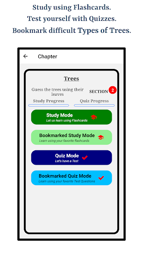 Guess Trees From Leaves Screen 2