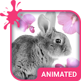 Cute Bunny Animated Keyboard icon