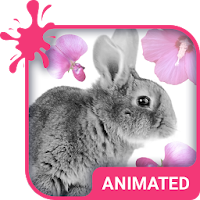 Cute Bunny Animated Keyboard