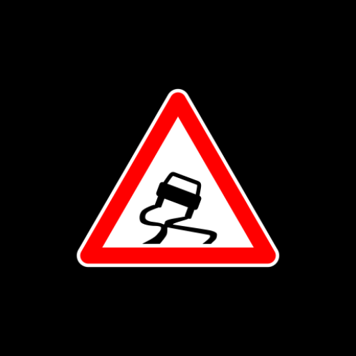 สอนขับรถและสอบใบขับขี่ logo