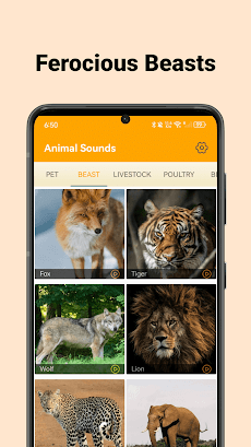 Animal Sounds - enjoy soundsのおすすめ画像2