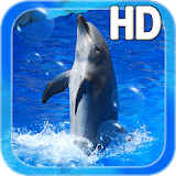 Animal Dolphin Live Wallpaper icon