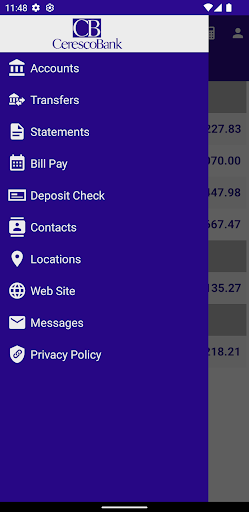 CerescoBank Mobile Screen 2
