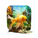 Cover Image of Скачать Goldfish Care  APK