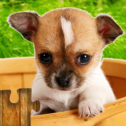 Dog Jigsaw Puzzle Family Games - Apps on Google Play