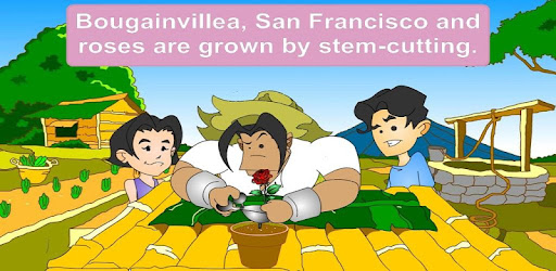 Propagating Plants