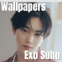 Exo Suho Wallpaper
