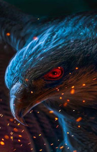 Android application Eagle Wallpaper screenshort
