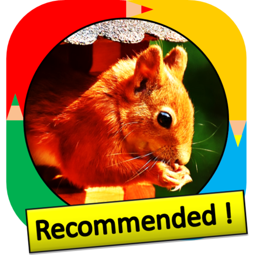 Color by Number - squirrel logo