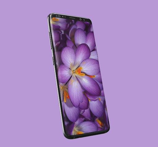 Purple Flower Wallpapers Screen 3