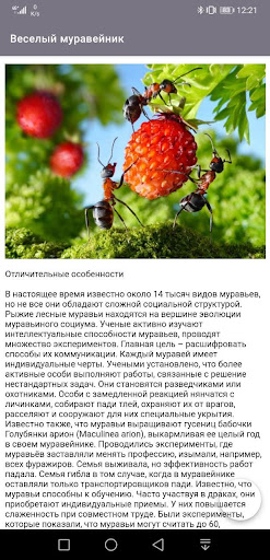 Веселый муравейник