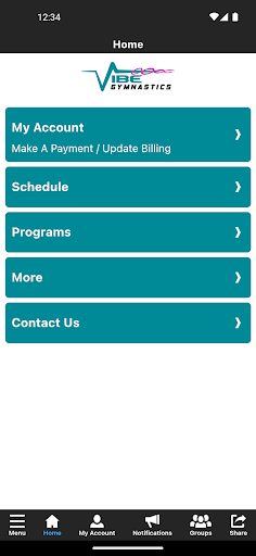 VIBE Gymnastics Screen 2