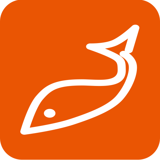 WIFI FISH FINDER 9 logo