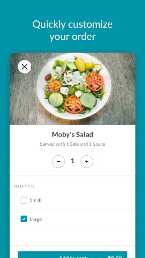 Moby Dick House of Kabob Screen 2