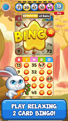 Bingo:  Free the Pets androidhappy screenshots 2