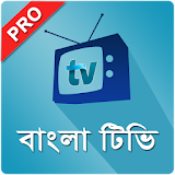 বাংলা টঠভঠ প্রো BD Bangla TV icon