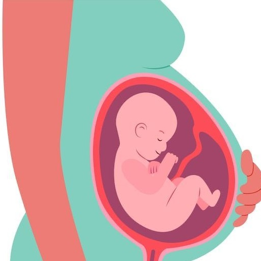Minha gravidez e meu bebê