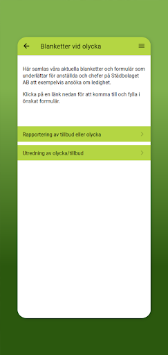 Städbolaget Screen 2