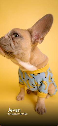 Android application Everyday Puppy screenshort