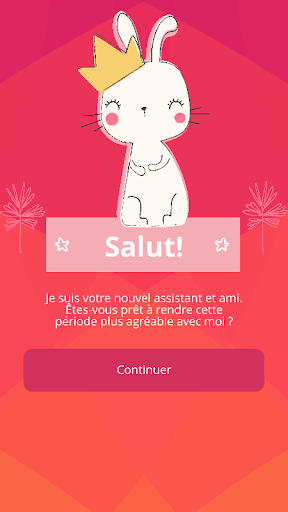 Aperçu de l'application
