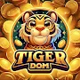 Tiger Gold DOM