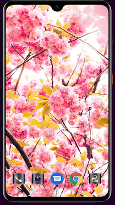 Blooming Tree Wallpaperのおすすめ画像4