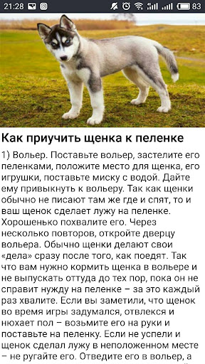 Дрессировка собак Тренировки Screenshot 4 - AppWisp.com