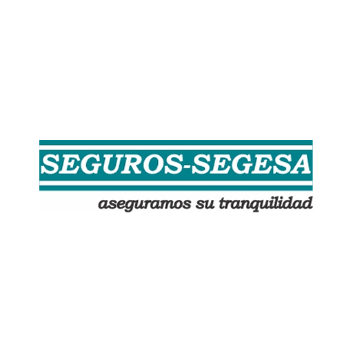 Segesa Car Inspection  Icon