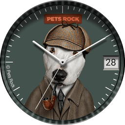 Icon image Detective | Pets Rock
