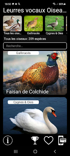 Aperçu de l'application