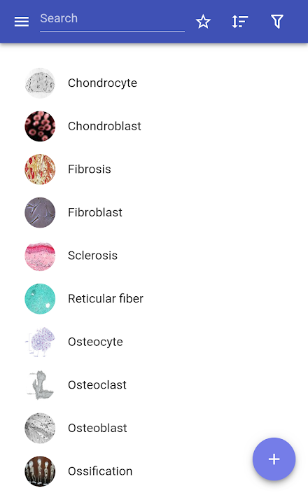Body tissues Screen 3