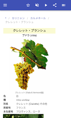 ブドウ品種のおすすめ画像4