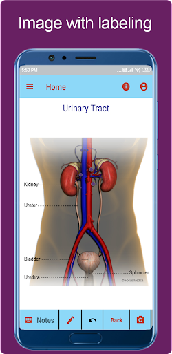 Atlas of Urology - Tanzania Screen 2