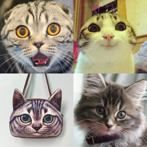 Cat Images logo